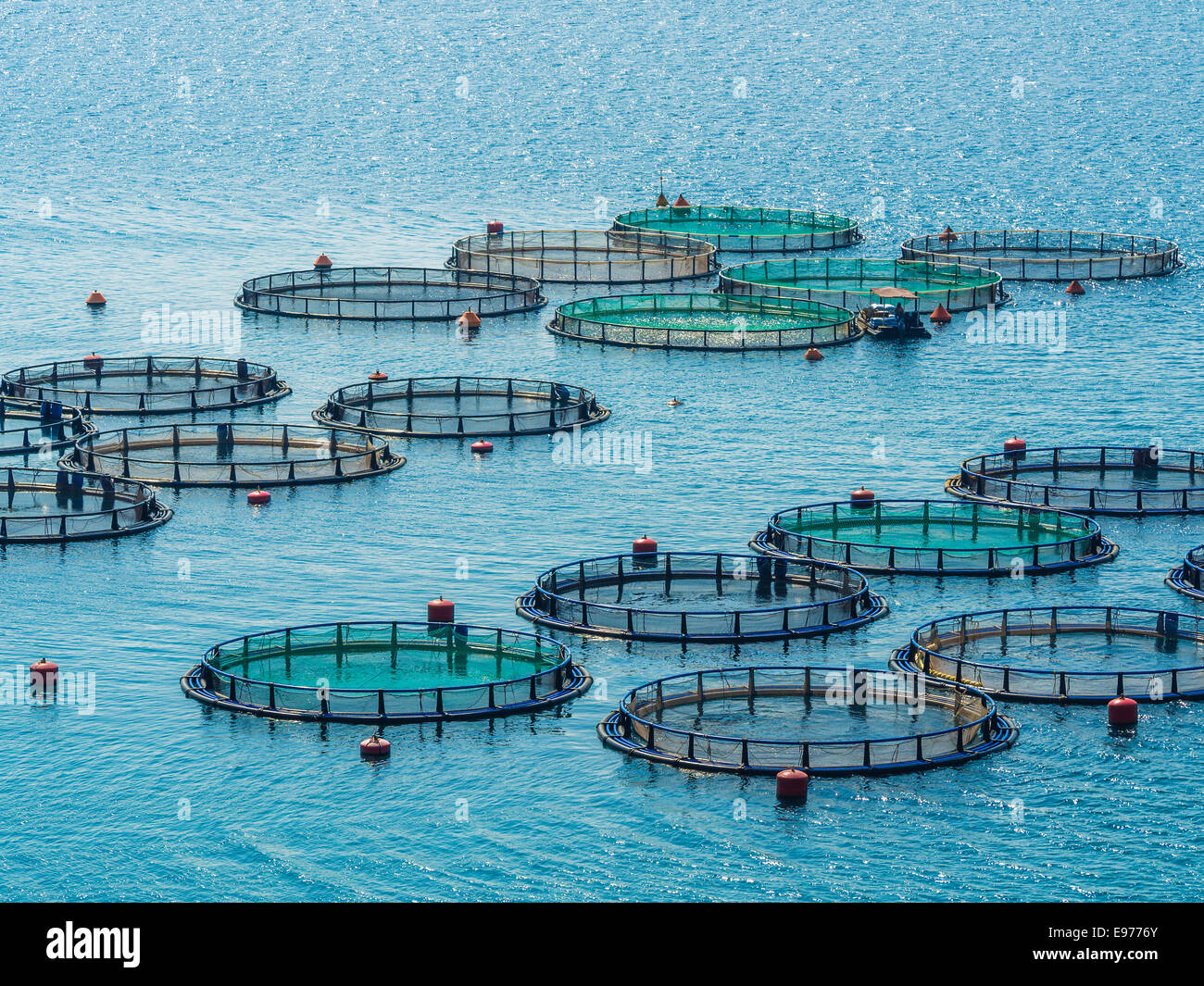 Allevamento di pesce al largo delle coste della Grecia Foto Stock