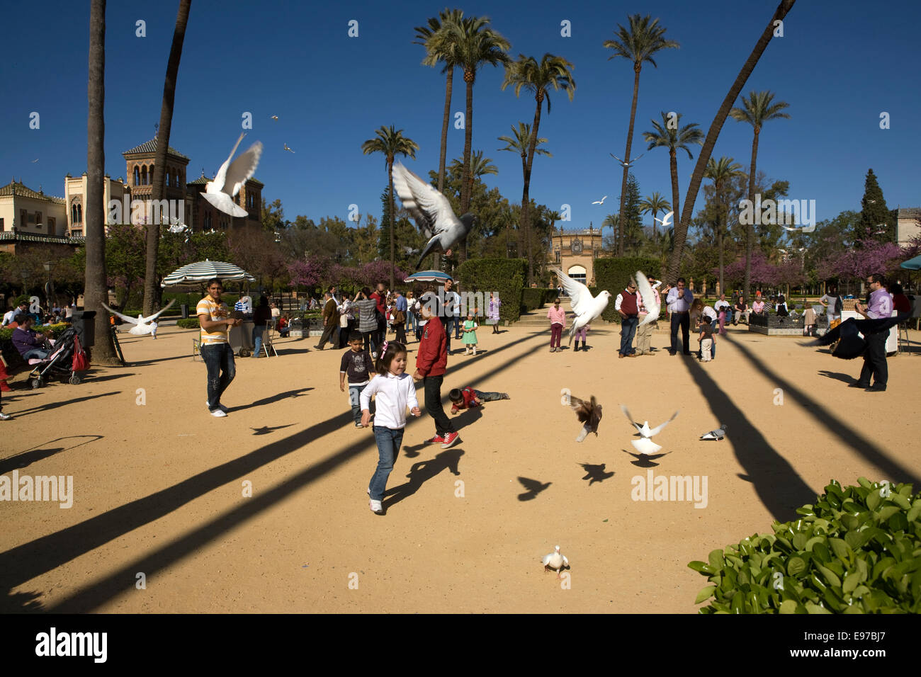 Il Parco Maria Luisa a Siviglia Foto Stock