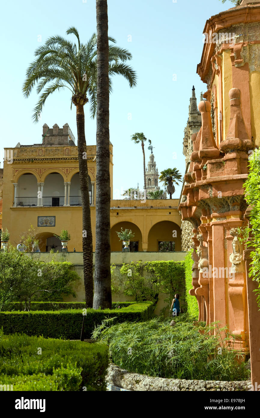 Il palazzo di Alcazar di Siviglia con la cattedrale in background Foto Stock