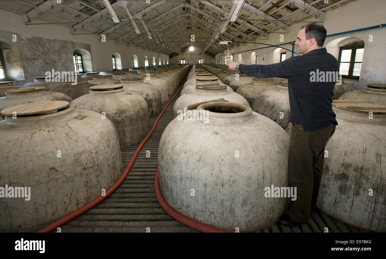 Degustazione vino presso la Bodega Perez Barquero dove memorizzare i vini di Xeres in grandi vecchie pentole di creta Foto Stock