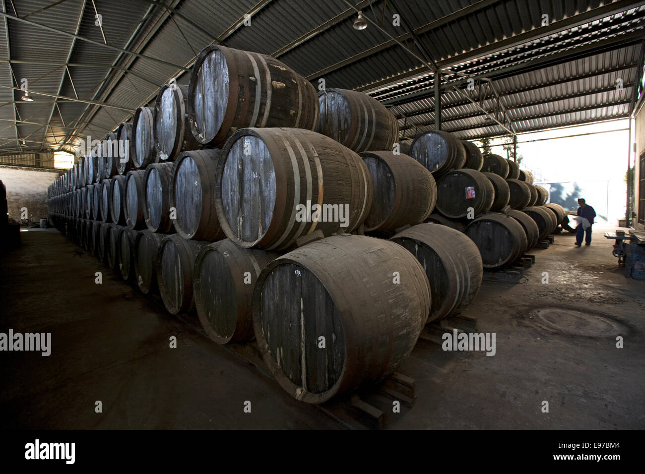 Vino di Xeres la conservazione in botti di rovere a Bodega Perez Barquero a Montilla Foto Stock