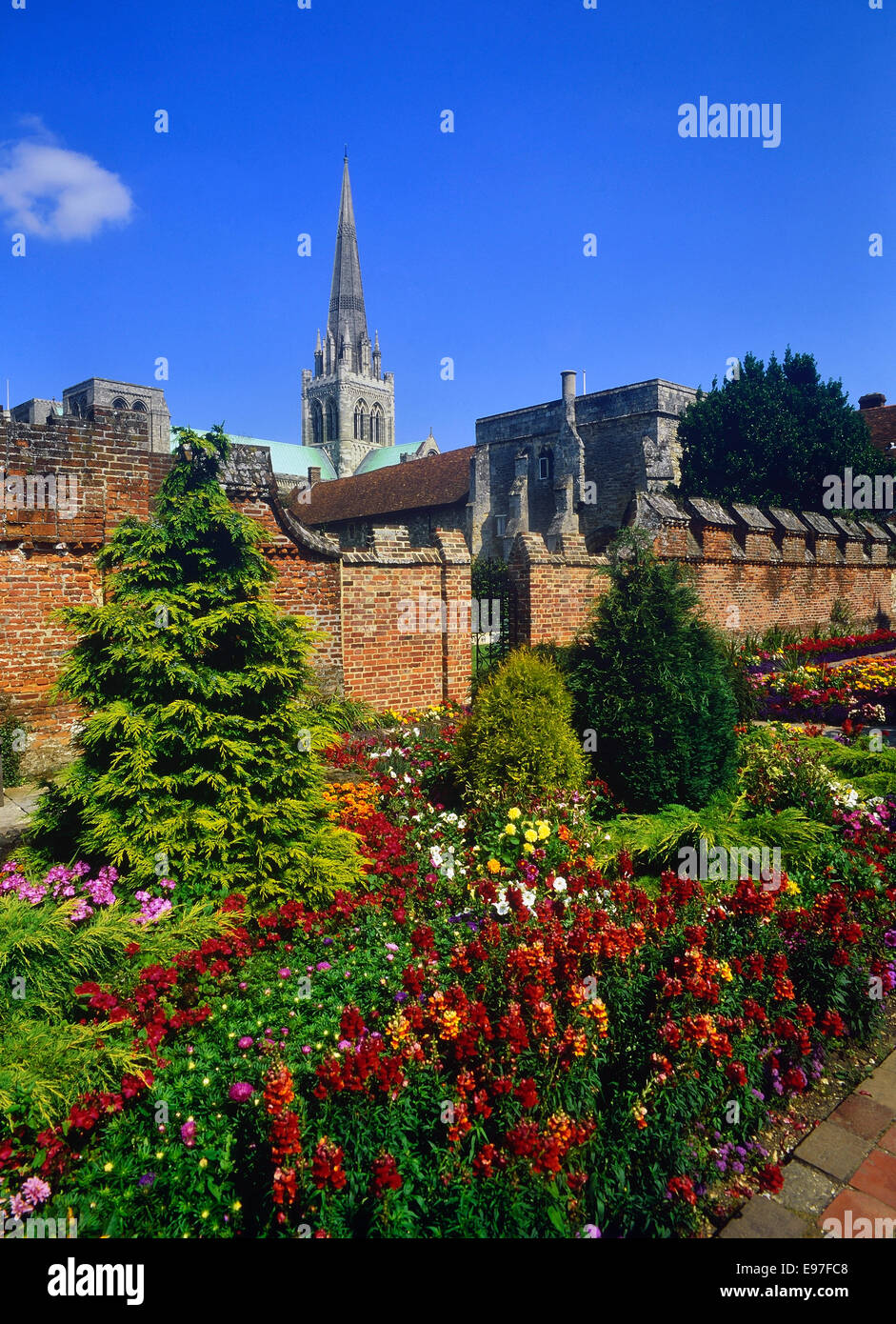 Chichester Cathedral & Palazzo del Vescovo giardini, West Sussex, in Inghilterra Foto Stock