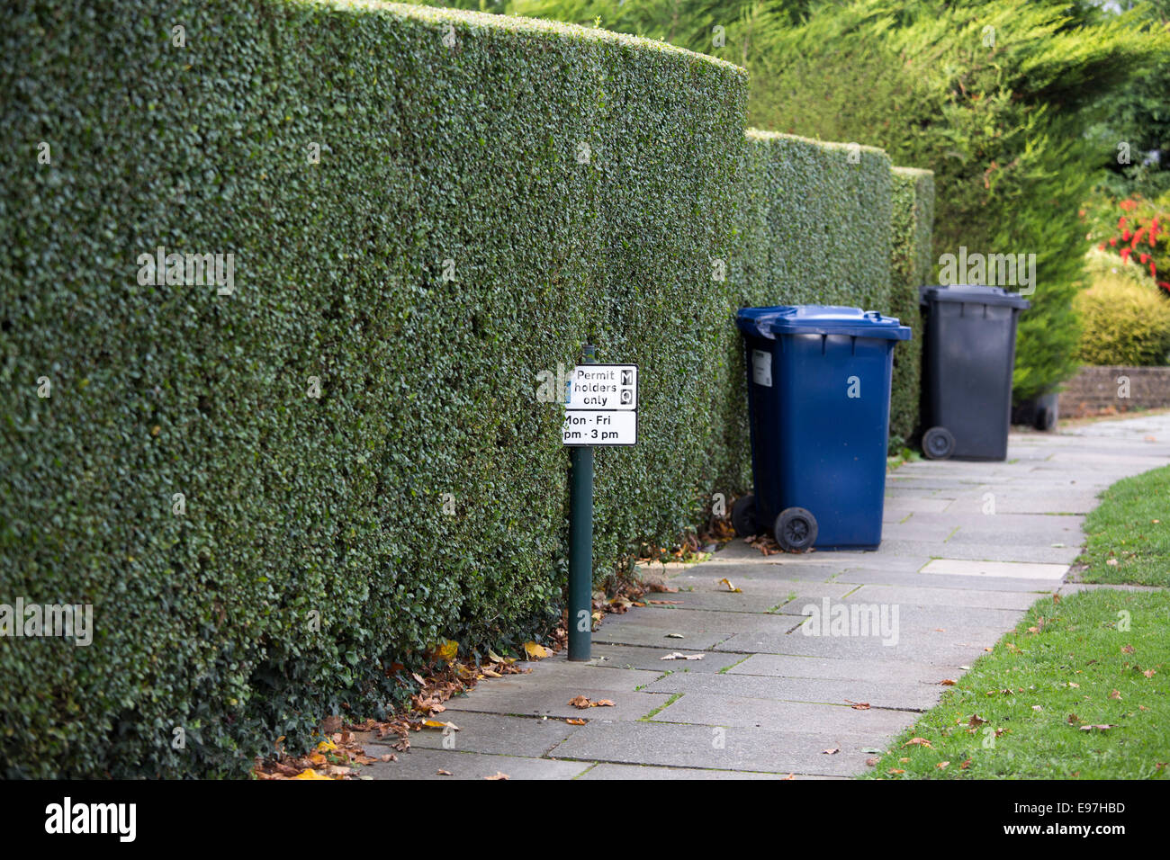 Hedge permesso di parcheggio segno residenti strada Foto Stock