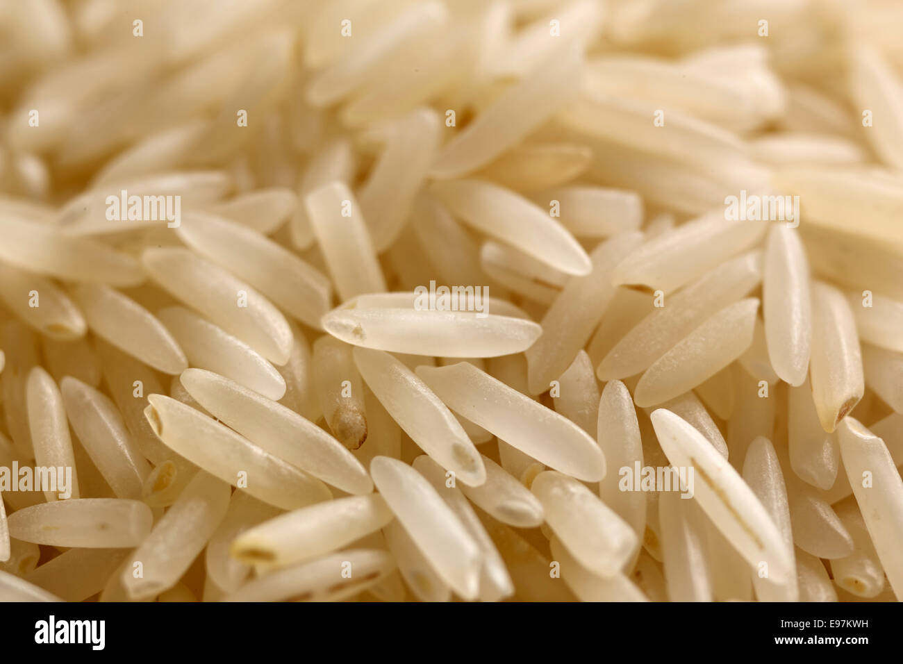 Non cotte bianco organico di riso basmati Foto Stock