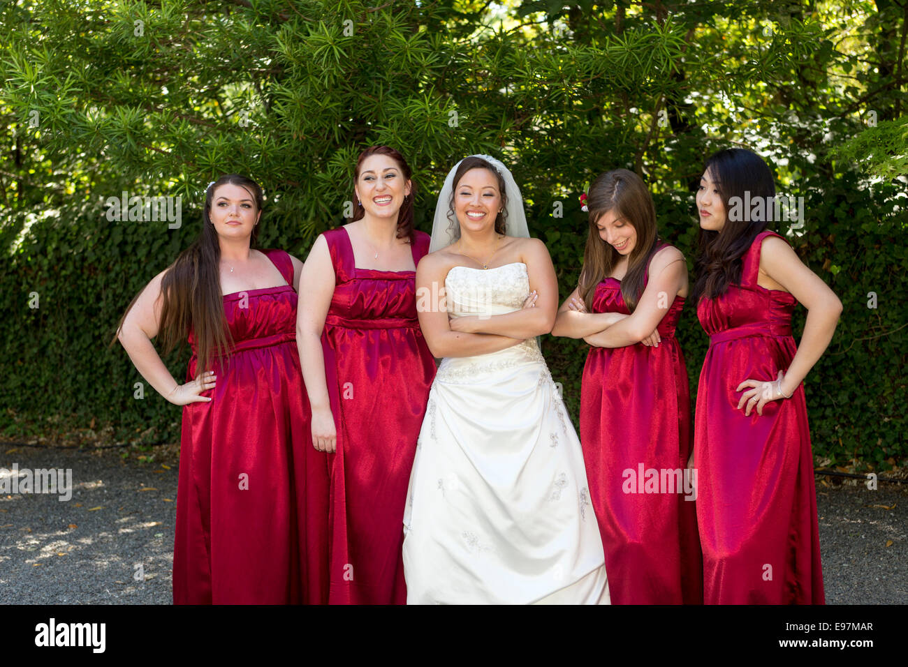 Sposa e le sue damigelle hanno gli assistenti di nozze festa di nozze nozze di Marin Arte e Garden Center in Ross a Marin County in California Foto Stock