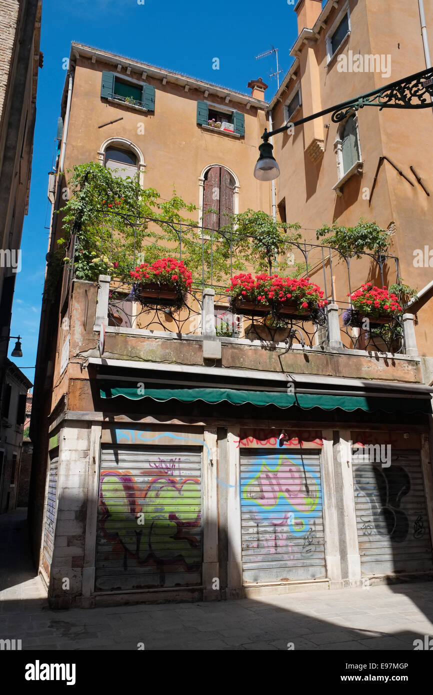 Vetro colorato caselle e piante rampicanti ad adornare un edificio Veneziano. San Polo, Venezia, Italia. Foto Stock