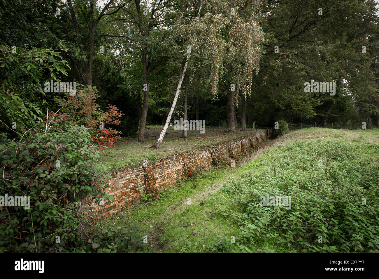 Un esempio di ha-ha parete in corrispondenza di Warley posto in Essex. Il giardino della casa dei horticulturalist Miss Ellen Willmott in Essex. Foto Stock