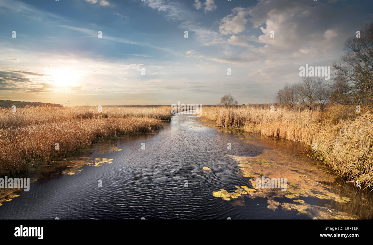 Ance a secco e alberi sfrondato in autunno river Foto Stock