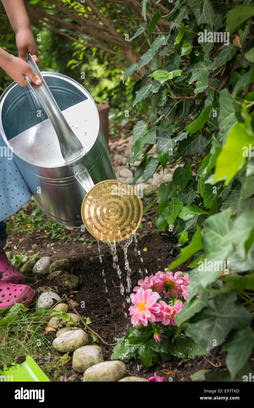 Ragazza giardinaggio, fiori di irrigazione nel letto di fiori Foto Stock