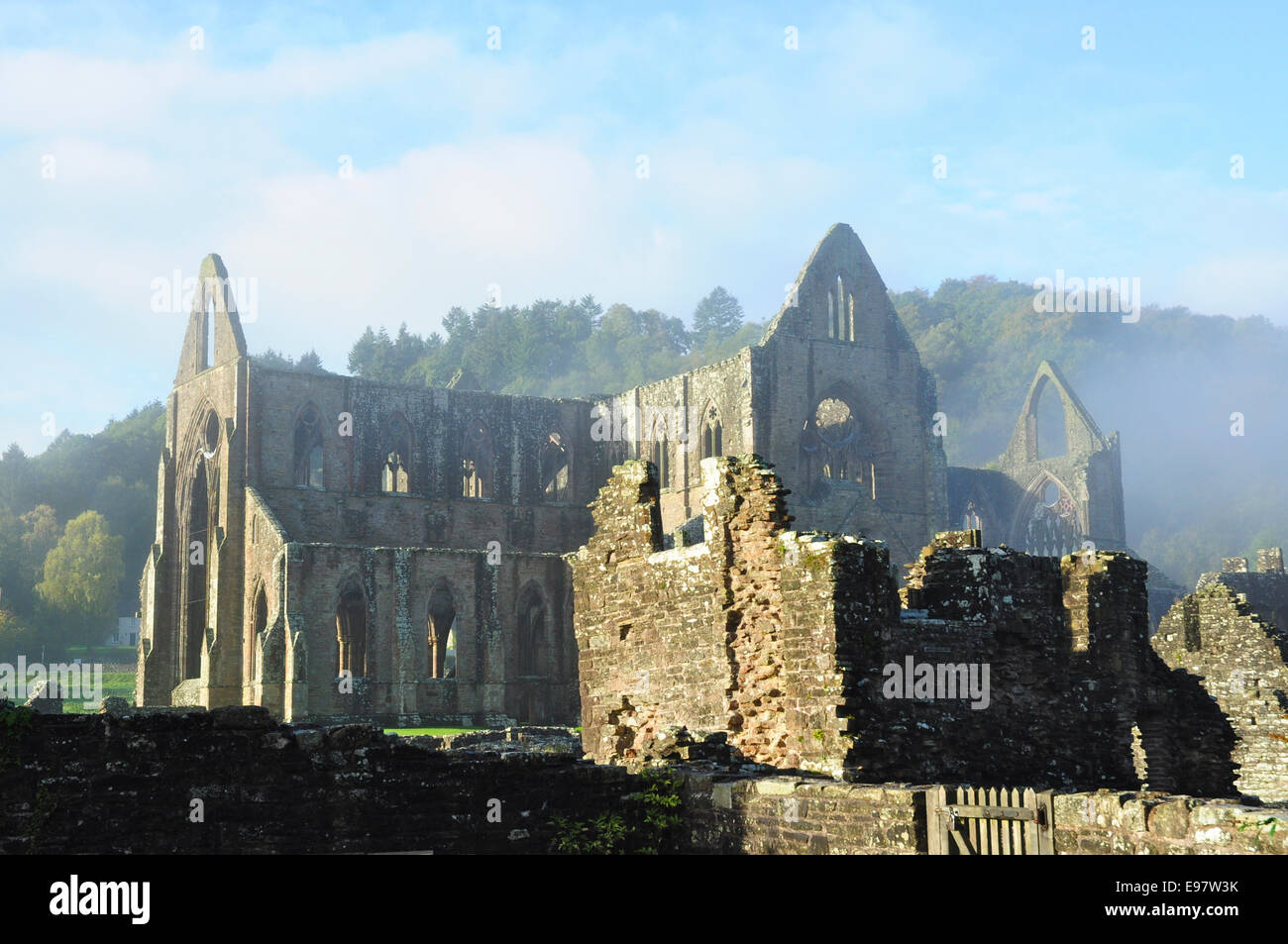 Foschia mattutina, Tintern Abbey (le rovine di abbazia cistercense), Tintern, Monmouthshire, Galles Foto Stock