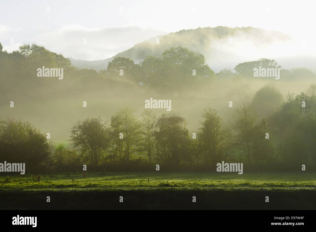 Foschia mattutina nella valle del Wye, Tintern, Monmouthshire, Galles Foto Stock