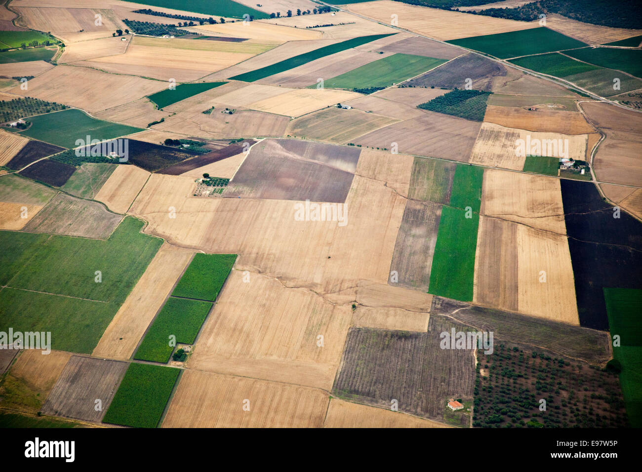 Vista aerea, gargano, provincia di Foggia, Puglia, Italia, Europa Foto Stock