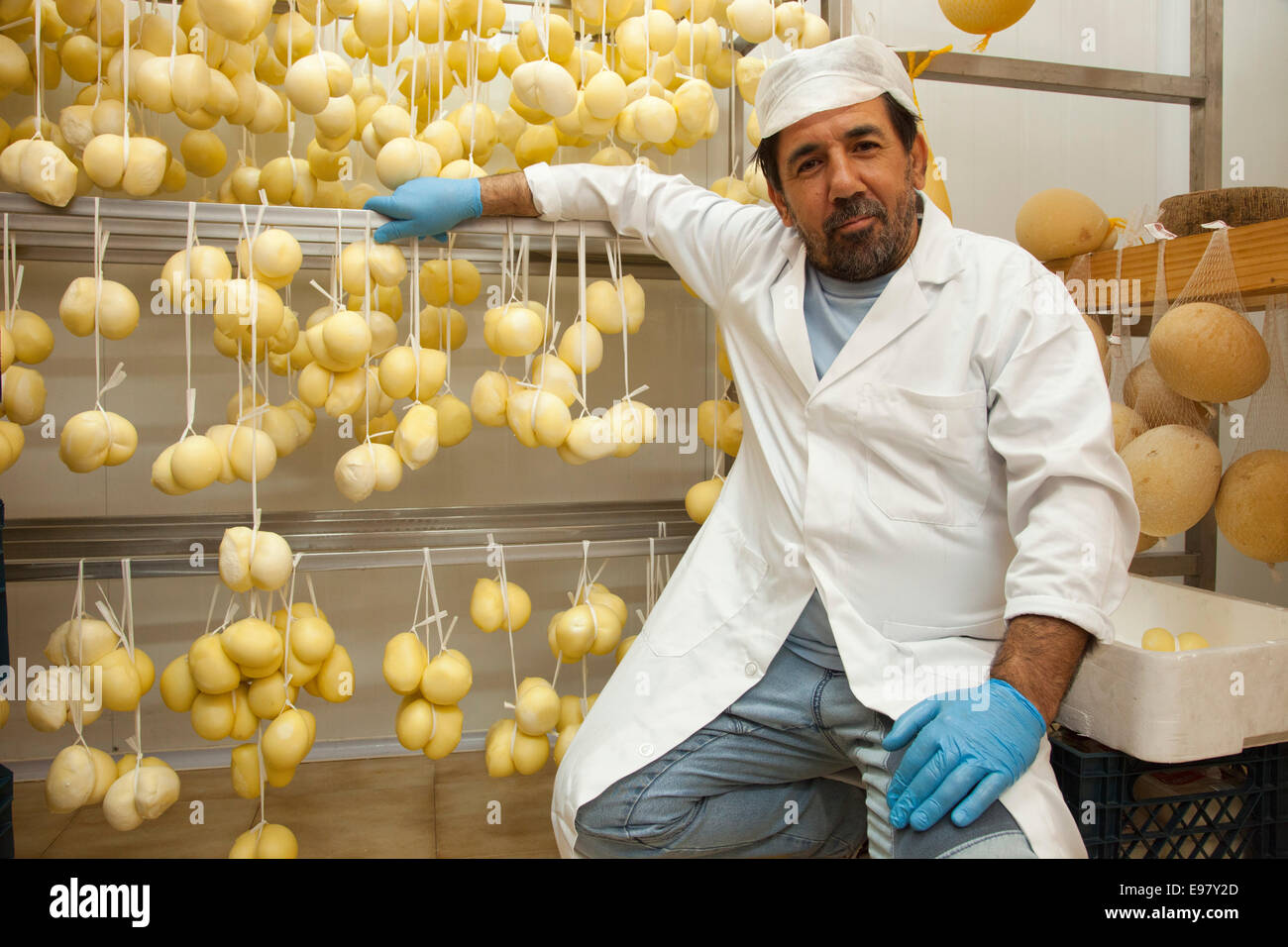 Il provolone, caseificio corvino bianco, Pietra Montecorvino, monti della Daunia, provincia di Foggia, Puglia, Italia, Europa Foto Stock