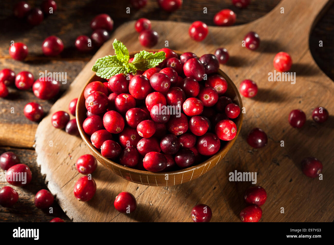 Materie organiche Mirtilli rossi in una ciotola Foto Stock