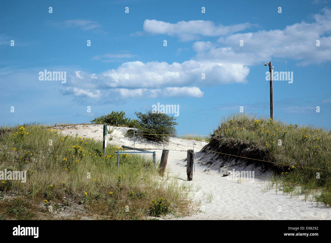 Vista delle dune di sabbia con erba, White Sands, il bianco delle nuvole e pochi man-made artefatti quali pali e fili. Foto Stock