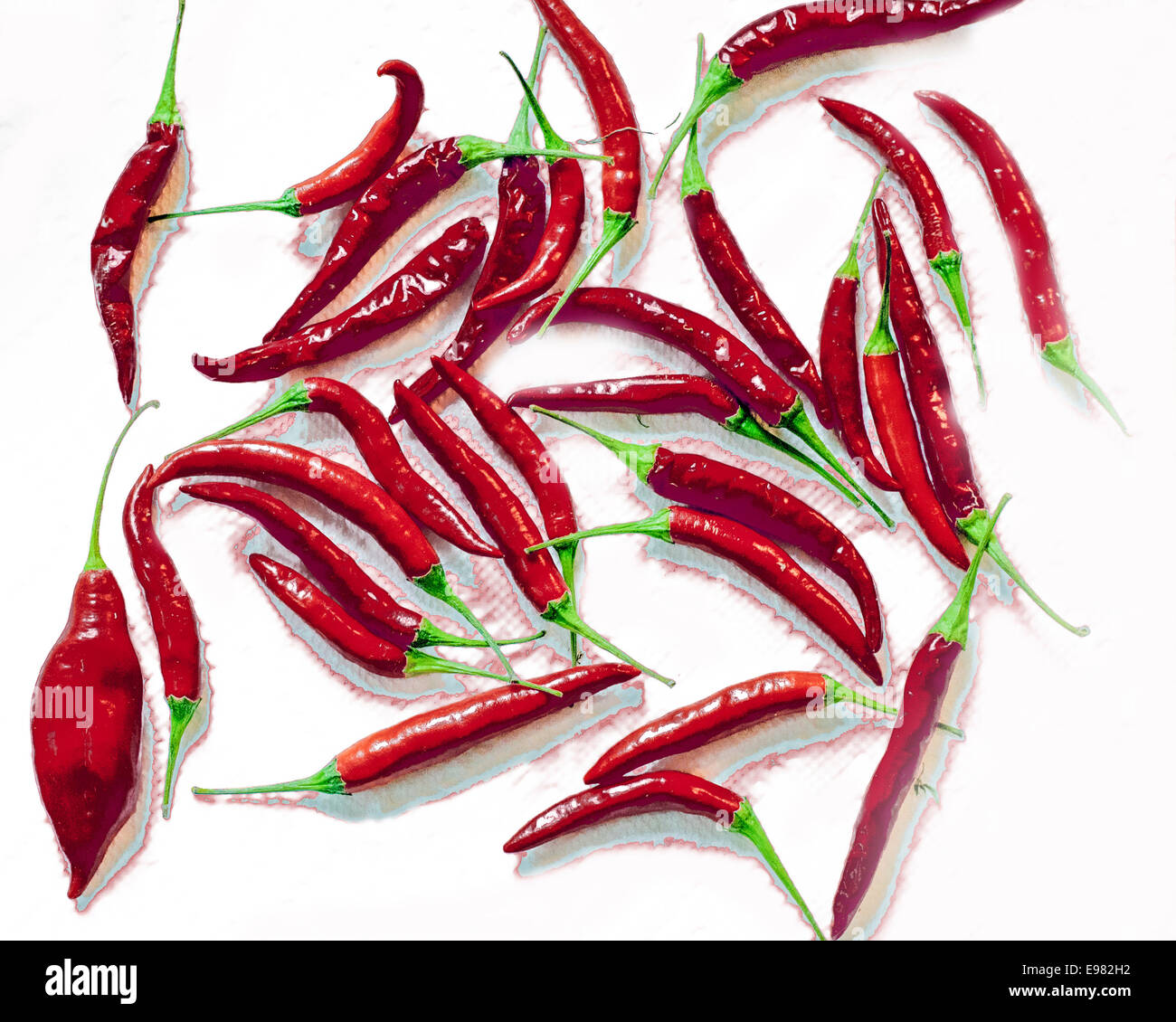 Raccolta molte decine di chili peppers contro sfondo bianco peperoni di colori le ombre sono stati modificati per dare colorato Foto Stock