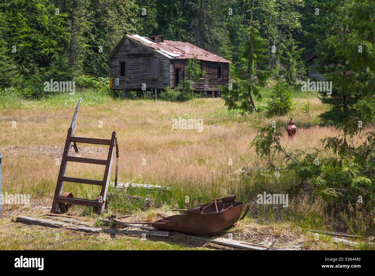Miniere abbandonate città fantasma di Sandon, Slocan Valley, West Kootenay, British Columbia, Canada Foto Stock