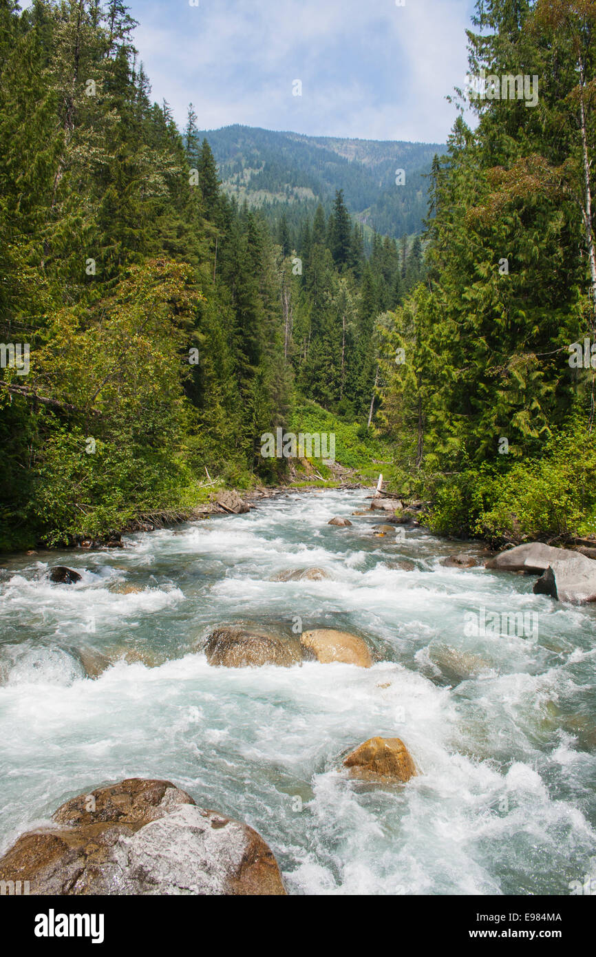 Prendendo la funivia su Carpenter Creek su Galena Trail, Nuovo Denver, Slocan Valley, West Kootenay, British Columbia, Canada Foto Stock