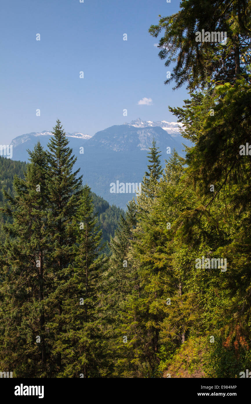 La Galena Trail, Nuovo Denver, Slocan Valley, West Kootenay, British Columbia, Canada Foto Stock