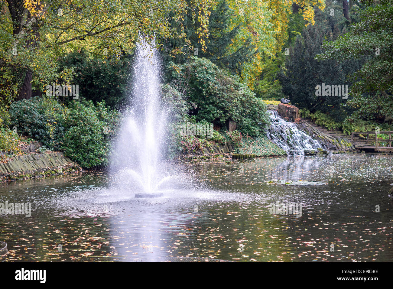 Giardini Botanici in autunno Wroclaw Bassa Slesia Polonia Foto Stock