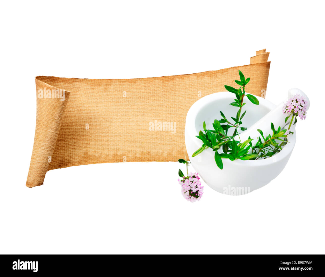 Un assortimento di laminati carta di erbe Banner con qualche copia in bianco-spazio per Memo. Per le erbe aromatiche e le spezie concetti. Su sfondo bianco. Foto Stock