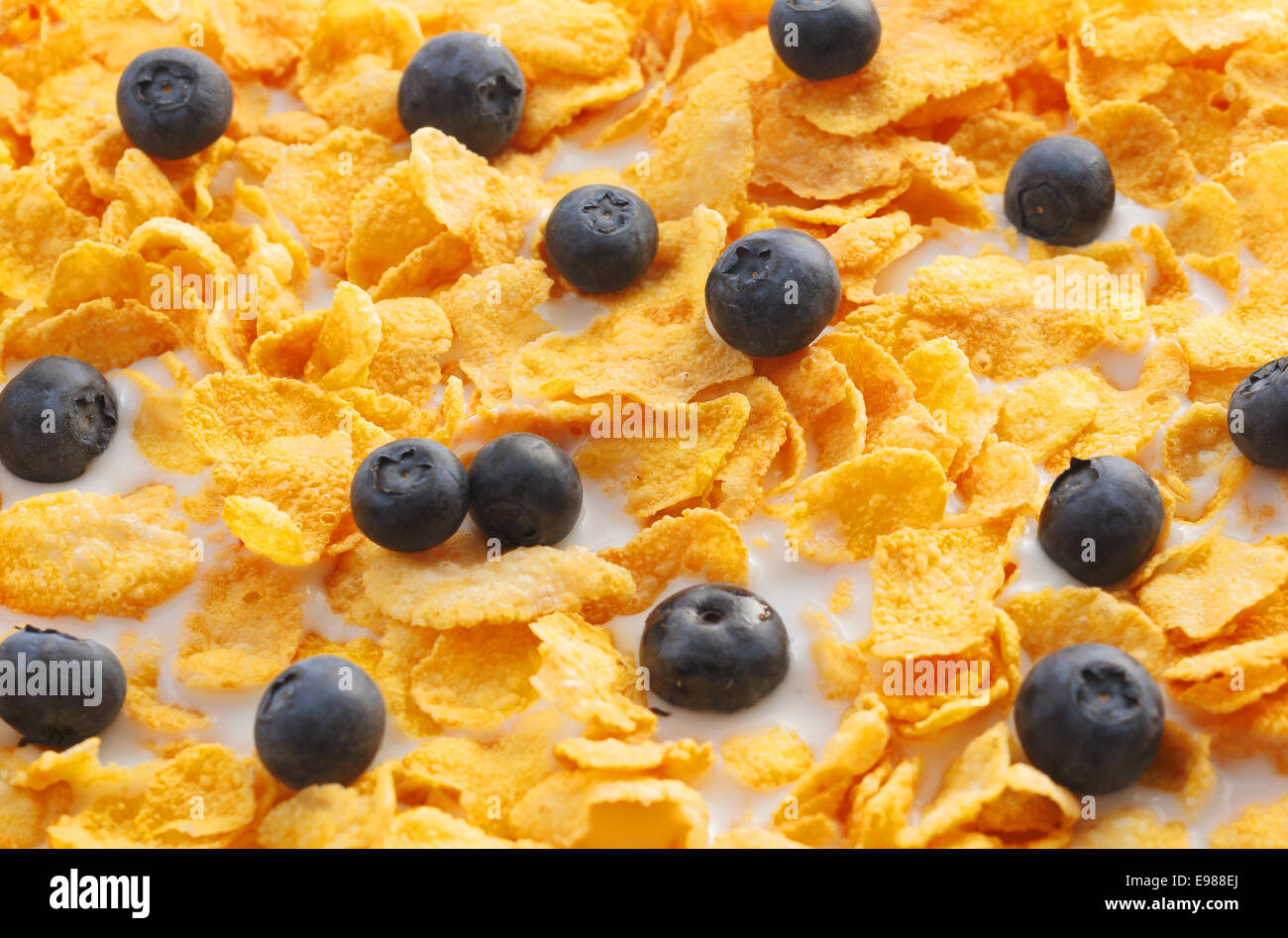 Correnti di nero e cereali per la colazione fluttuante nel latte. Foto Stock