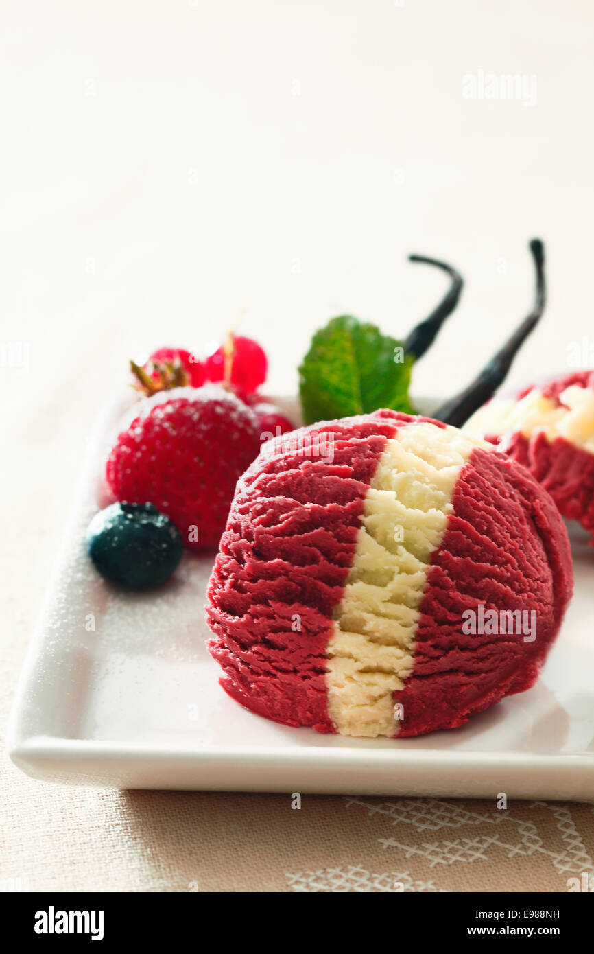 Palla di fresco e salutare bacca rossa gelato con un segno distintivo di vaniglia stripe di un colore bianco porcellana piatto Foto Stock