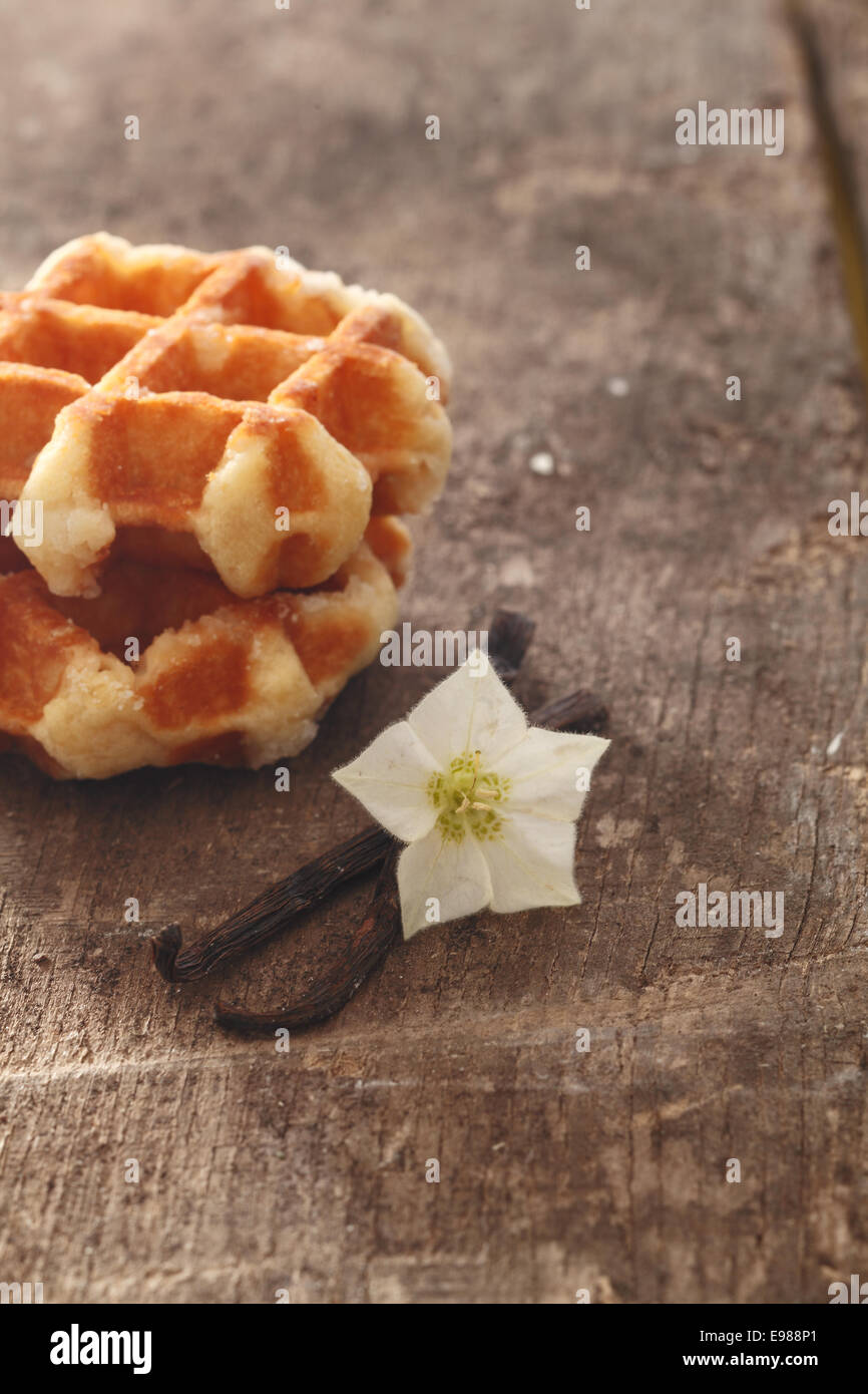 Essiccato baccelli di vaniglia e fiori usati come sostanze aromatizzanti in cucina e di cottura su una superficie in legno con golden cialde Foto Stock