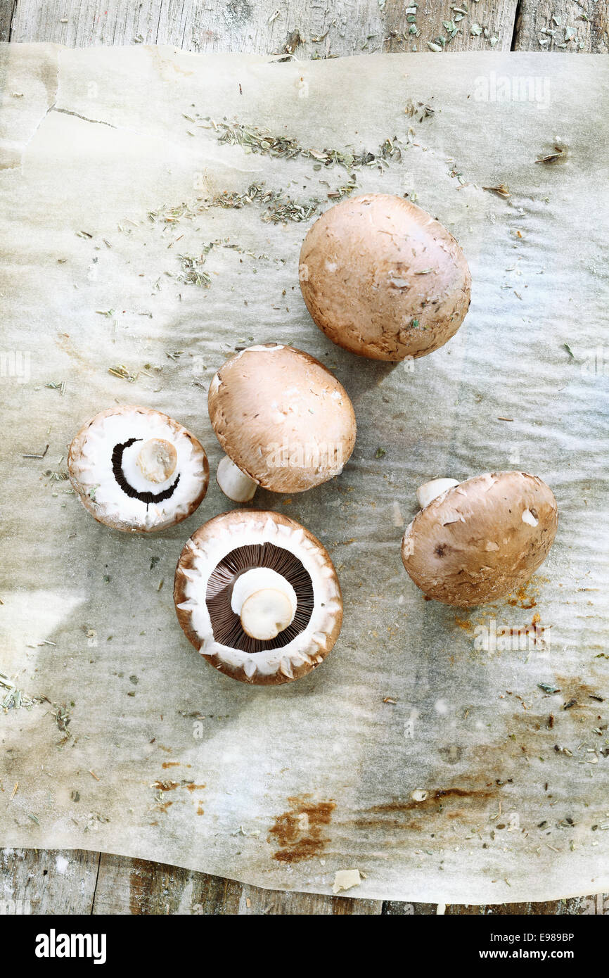 I funghi freschi su un foglio di sporco usato la carta forno con macchie e rughe Foto Stock