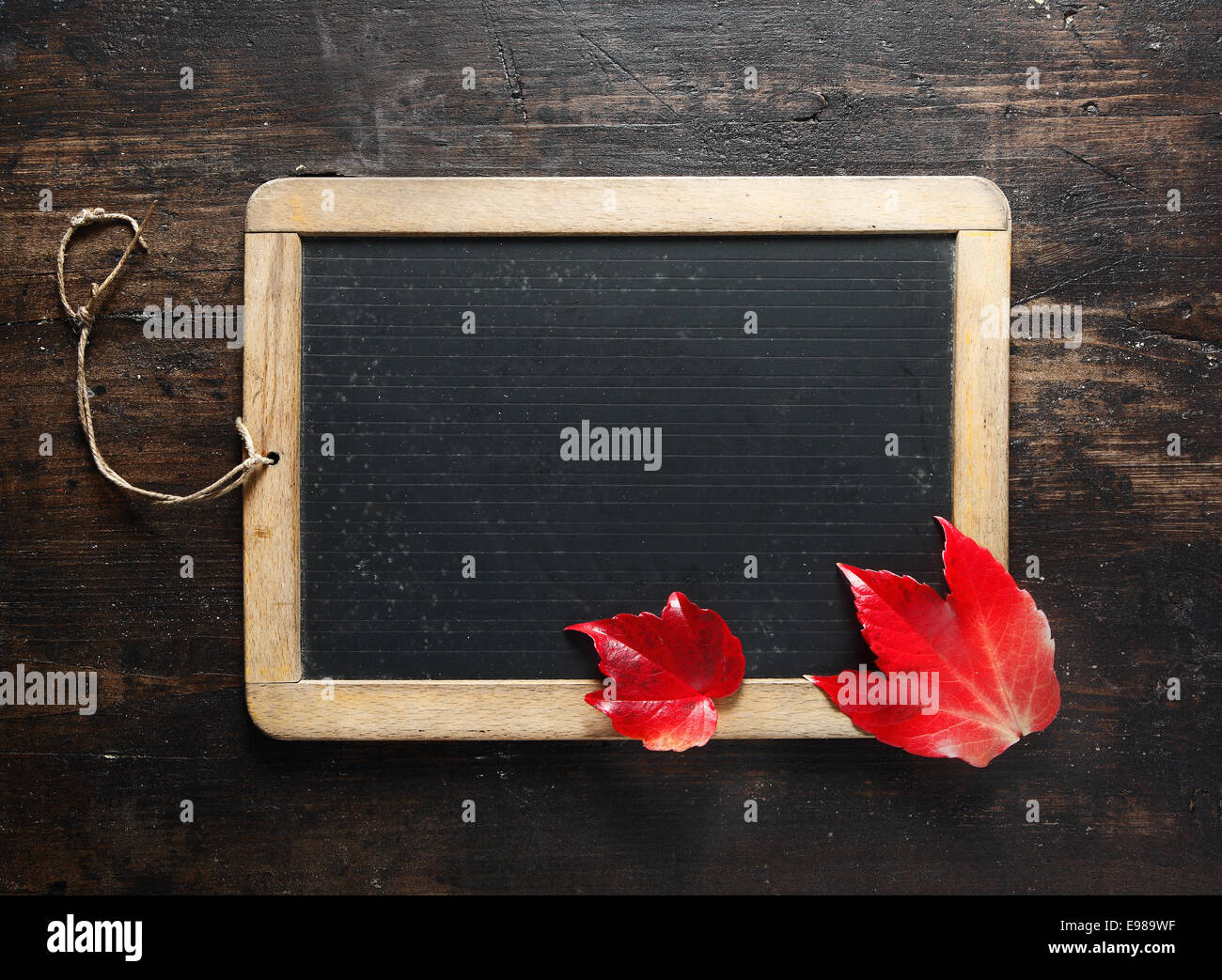 Piccolo vuoto incorniciato chalkboard e colorato di rosso le foglie di autunno al buio su un texture di sfondo di legno per la vostra inserzione, messaggio, annuncio o menu Foto Stock