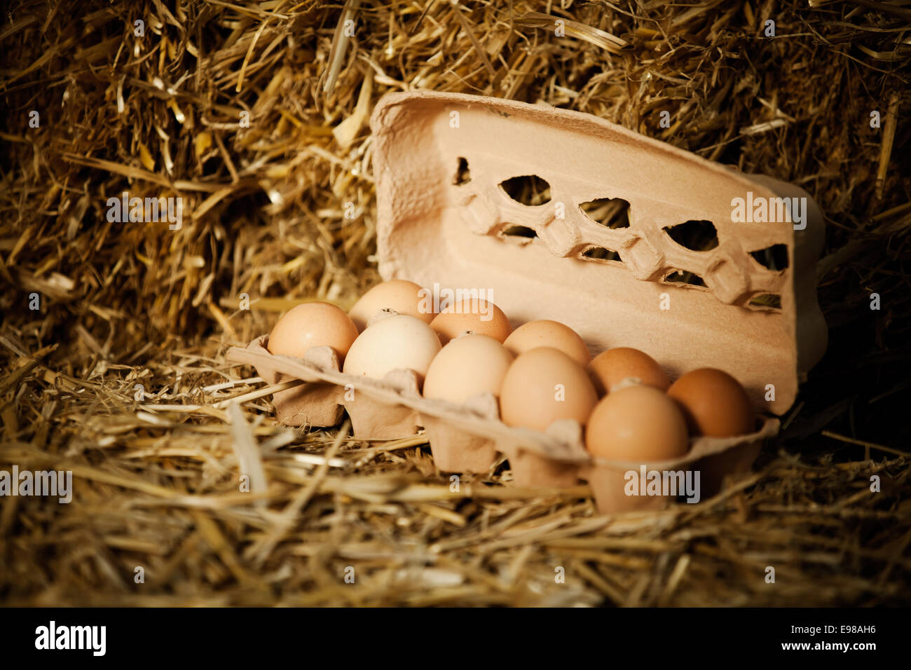 Close-up di dieci fresco Uova marrone in scatola di cartone sulla paglia Foto Stock