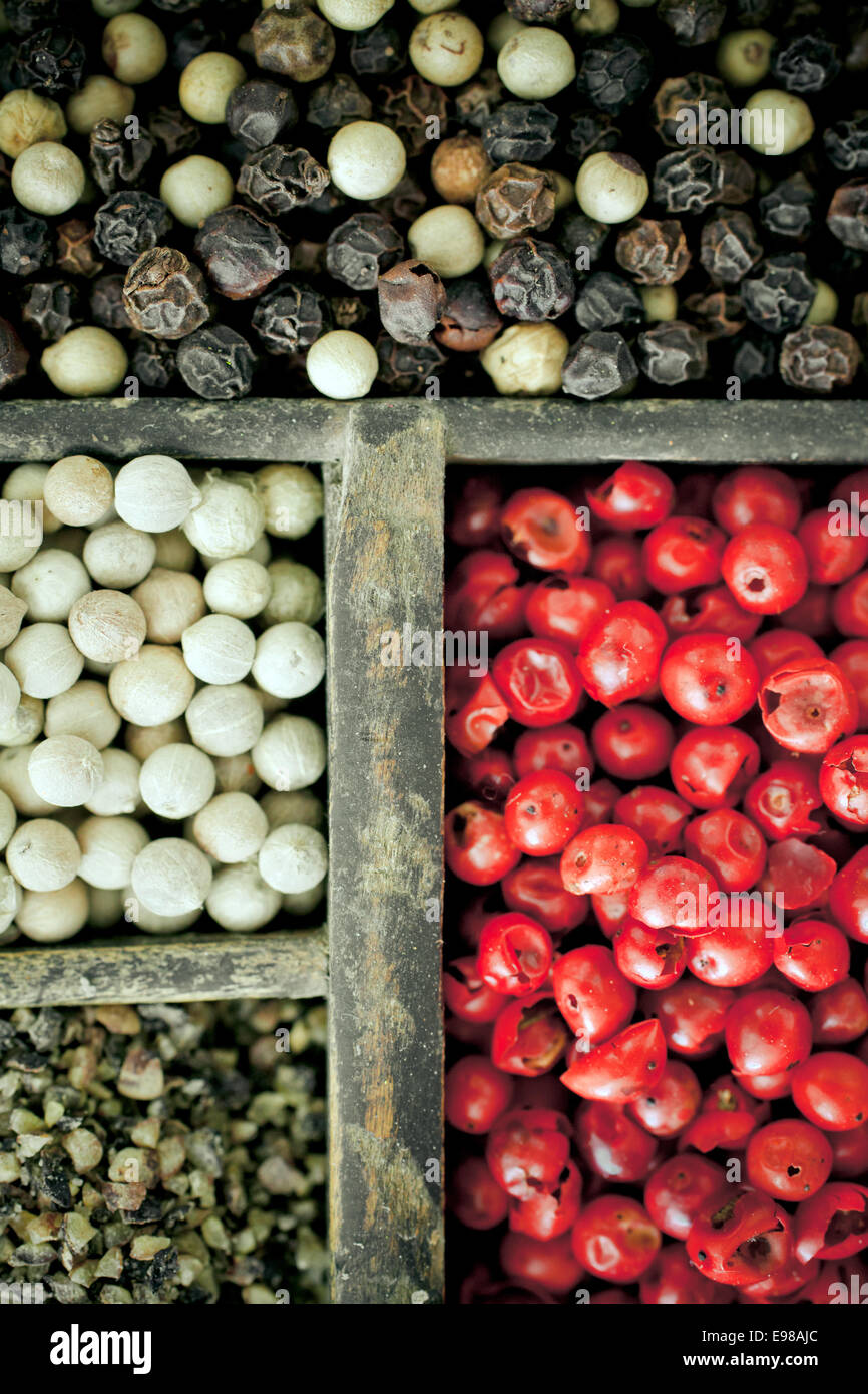 Diverse varietà di grano di pepe con interi essiccati nero, bianco e pepe rosa con i loro variopinti colori rosso utilizzato come Foto Stock