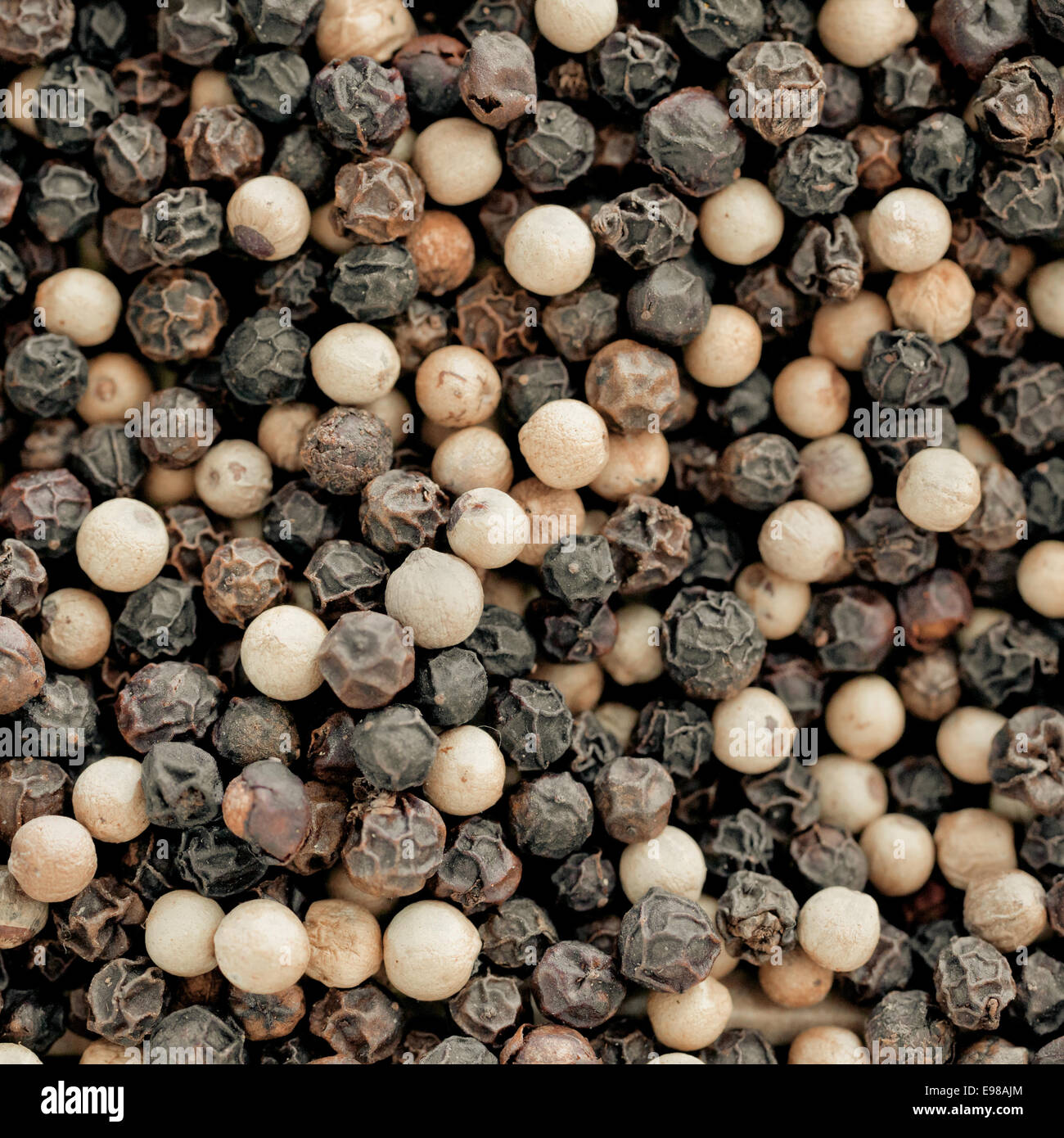 Sfondo vista ravvicinata di secchi tutto nero e pepe bianco, una pungente di spezie aromatiche e condimento usato in cucina Foto Stock