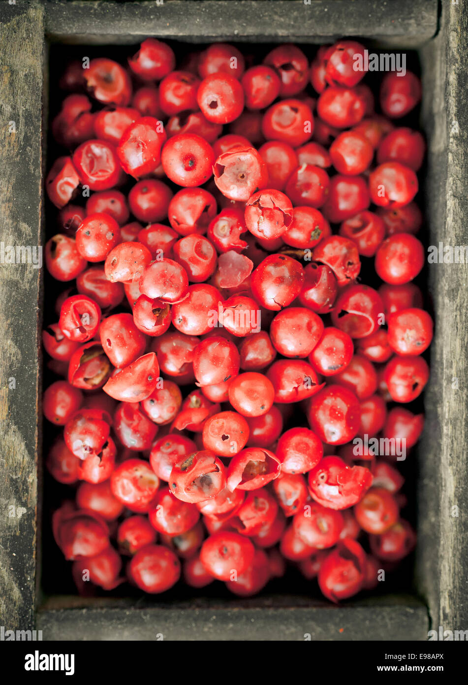 Colorato essiccato intero pepe rosa con la loro colorazione rossa utilizzato come una piccante spezie e condimenti in cucina, vista aerea Foto Stock