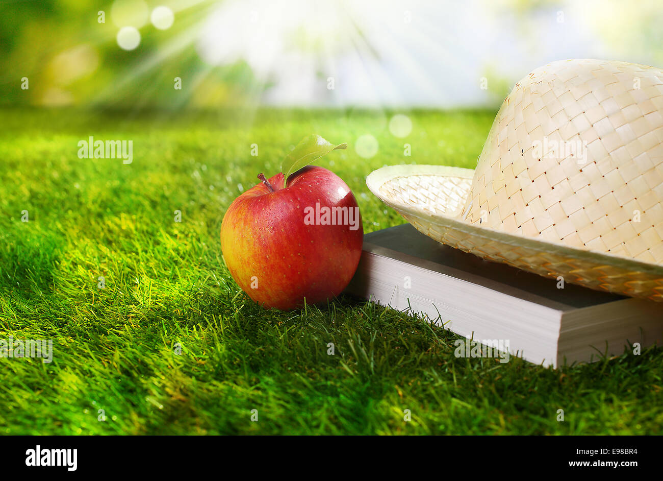 Cappello, libro e fresche e mature apple rosso giacenti su un rigoglioso giardino prato sotto i caldi raggi del sole estivo con bokeh e lens flare Foto Stock