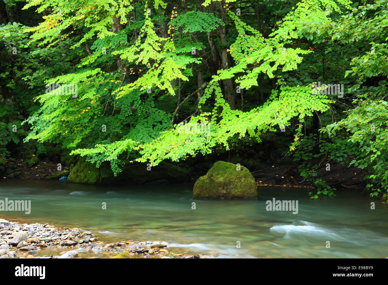 Hokkaido, Giappone Foto Stock