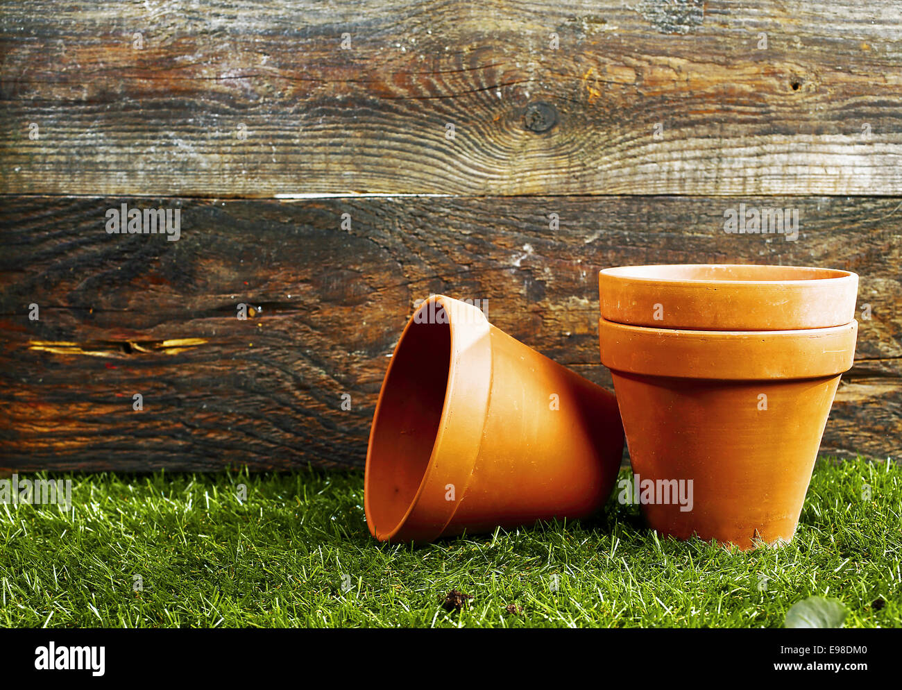 Vuoto in terracotta di terracotta vasi di fiori su un rifilato prato verde contro la parete di un giardino in legno capannone con copyspace Foto Stock