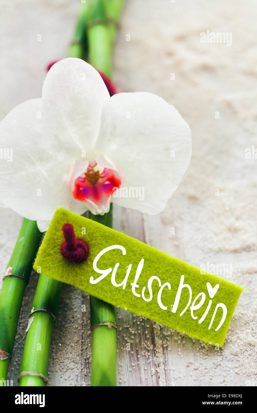 Fragile bianco puro Phalaenopsis orchid, fresco di bambù e di una etichetta con il testo Gutschein concettuale del un trattamento spa, coccole, relax, bellezza e cura del corpo Foto Stock