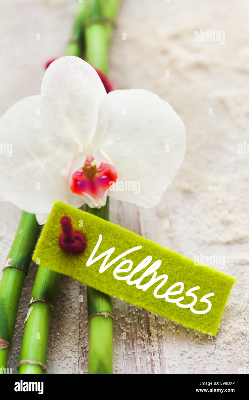 White Orchid con bambù fresco e un tag di benessere che giace sulla spiaggia dorata di sabbia di concettuale una spa o il resort per la salute Foto Stock