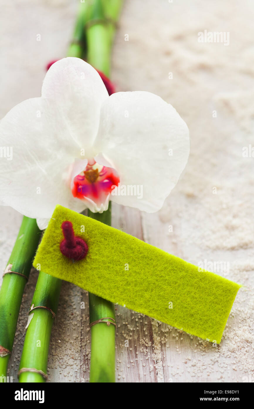 Fresh orchidea bianca e verde di germogli di bambù con un tag vuoto realizzato in feltro verde per il testo che giace sulla spiaggia dorata di sabbia in formato verticale Foto Stock