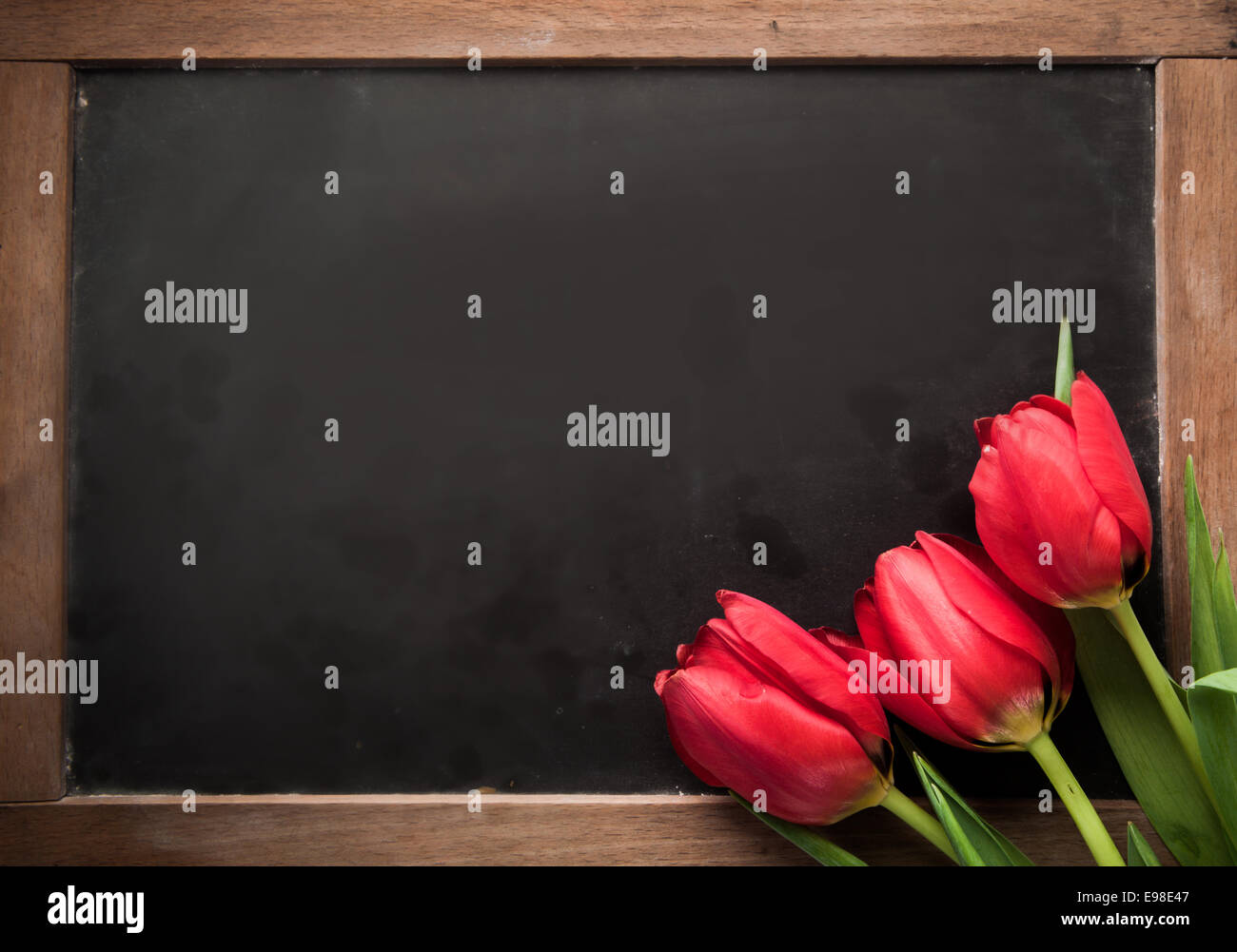 Tre freschi tulipani rossi disposti in un angolo su una scuola vintage ardesia con copyspace vuota per il testo Foto Stock