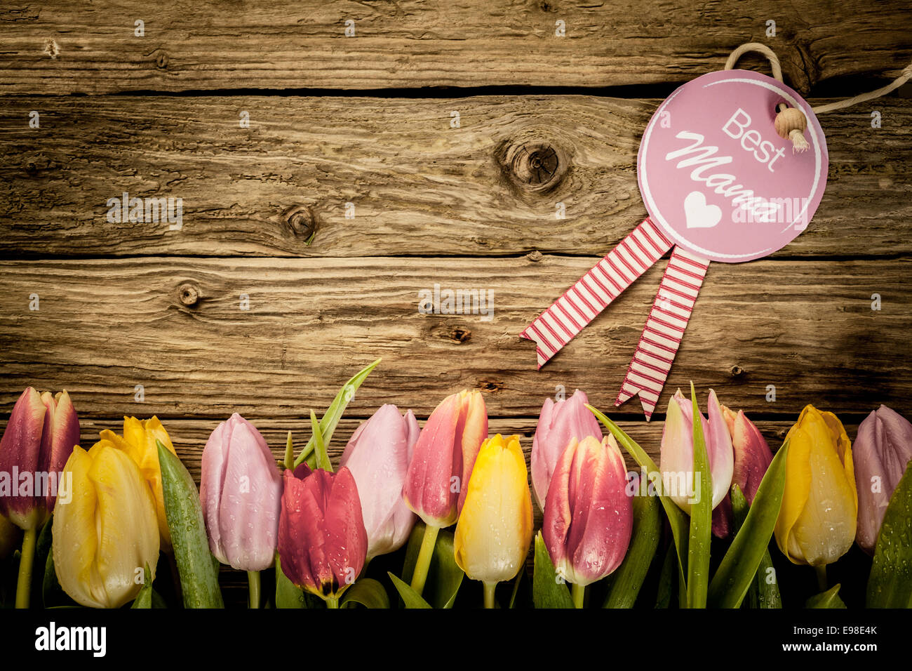 La festa della mamma o bambino, doccia, saluto con un confine di freschi tulipani colorati disposti in linea su una texture di rustiche tavole di legno con copyspace Foto Stock