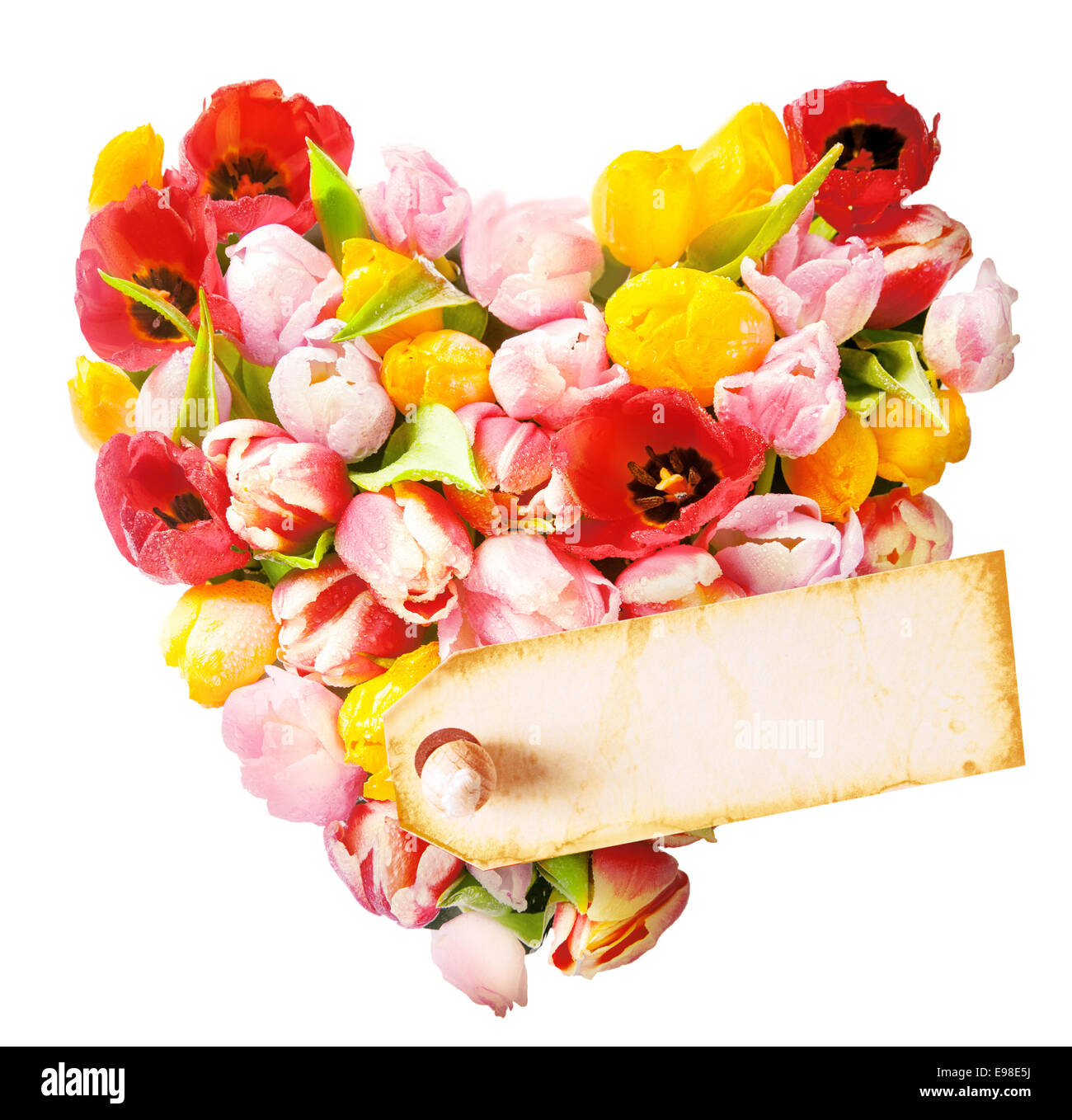 Cuore floreale composto da una disposizione di colorati ornamentali tulipani freschi isolato su bianco con attaccato un blank gift tag per il messaggio o il messaggio di saluto per una fidanzata o amato Foto Stock