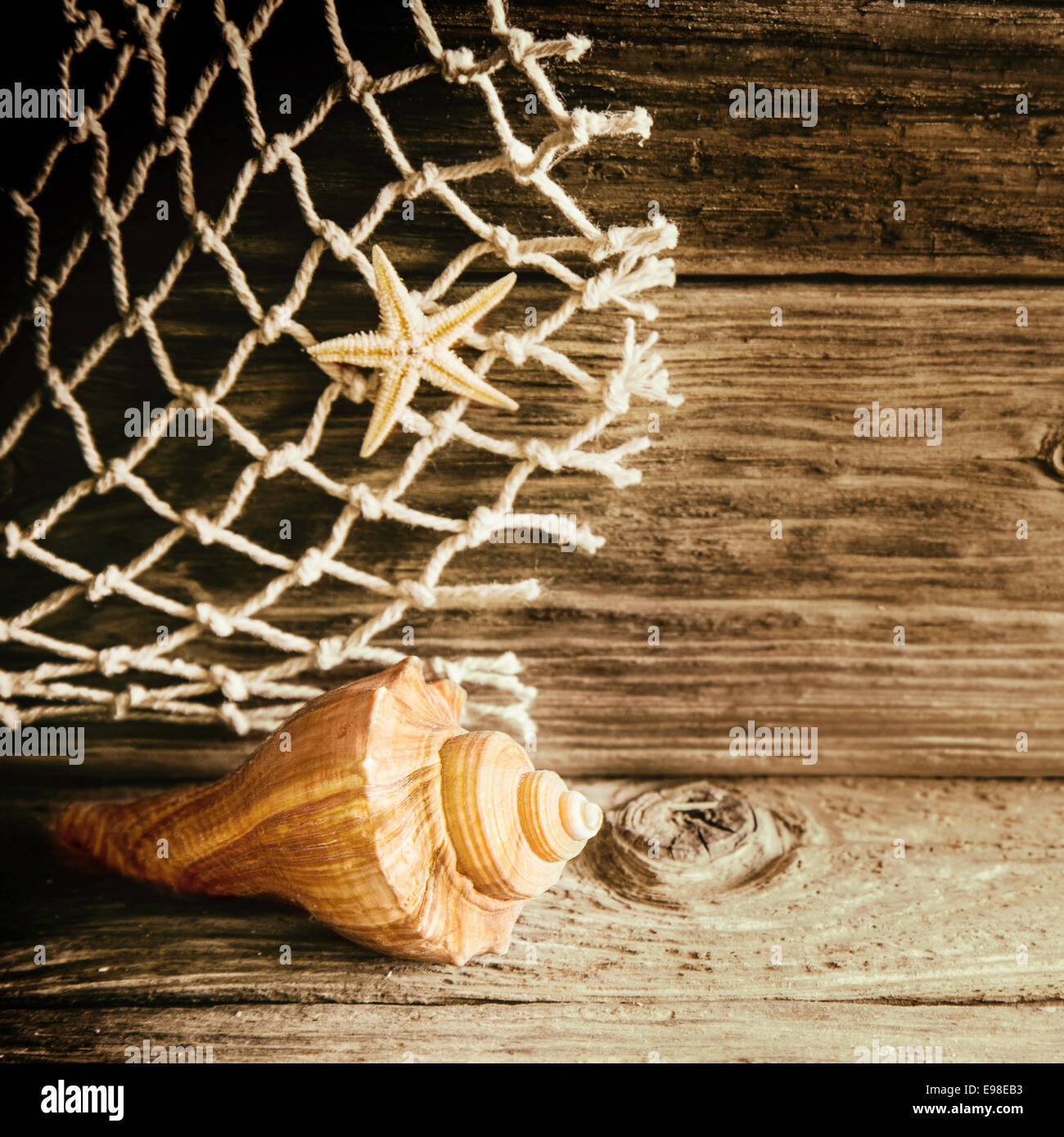 Rustico sfondo nautico con un guscio e la stella di mare con un pezzo di fibra naturale rete da pesca su un vecchio weathered nodoso tavola di legno con copyspace in formato quadrato Foto Stock