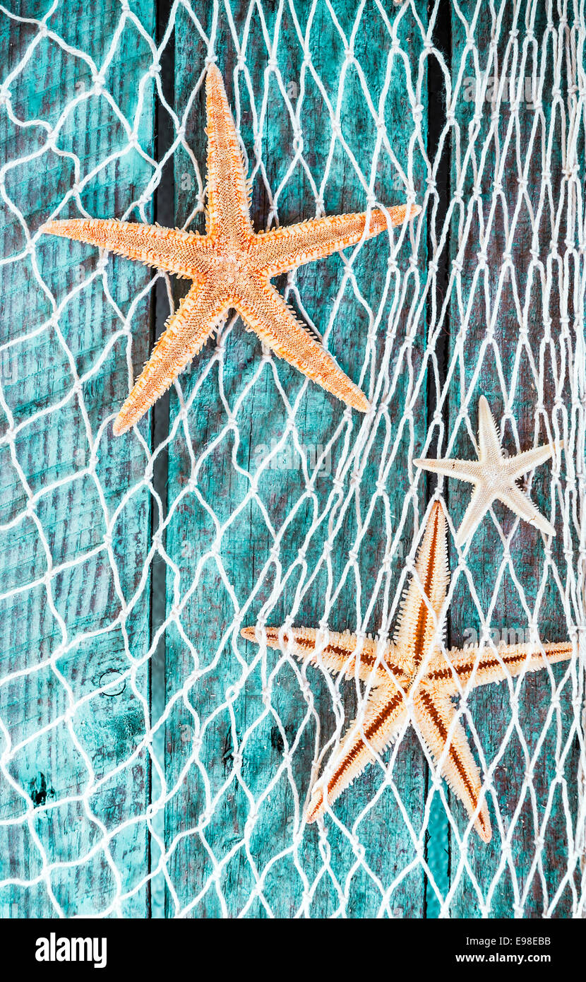 Bella blu turchese sfondo nautico con tessuto a losanga rete da pesca adornata con secchi starfish appeso sul verniciato testurizzato di tavole di legno Foto Stock