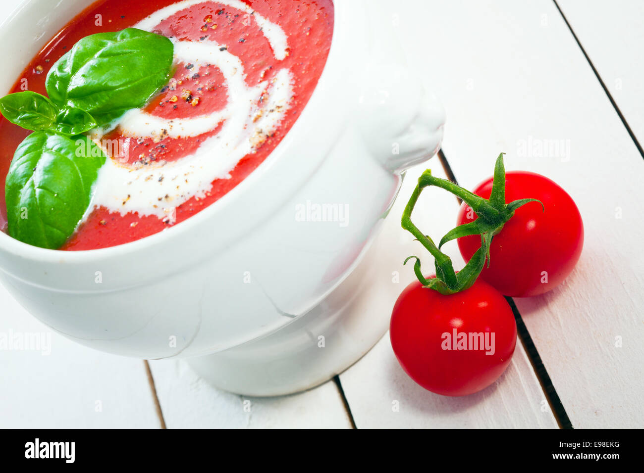 Stuzzicanti ciotola di zuppa di pomodoro spruzzata con crema, guarnita con foglie di basilico fresco con pomodori ciliegia sul dipinto di bianco bordo Foto Stock