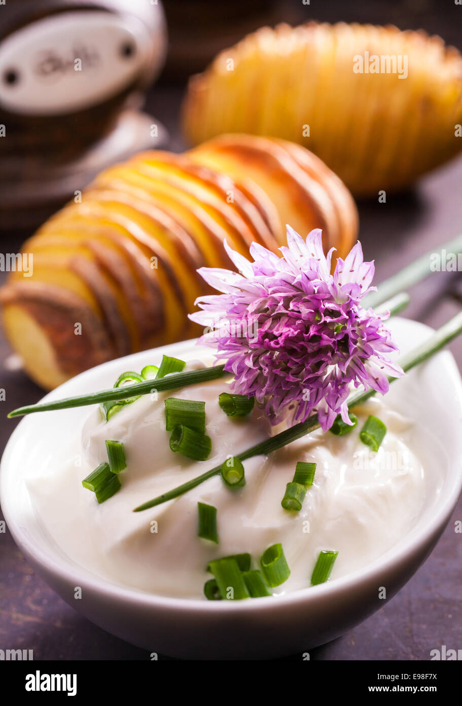 Le foglie fresche e fiore di una pianta di erba cipollina, Allium schoenoprasum, un popolare potherb utilizzato come aromatizzante e guarnire in cucina e insalate per la sua onion-come gusto Foto Stock