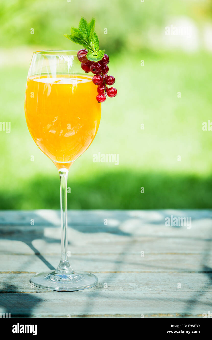 Elegante bicchiere di orange e cocktail champagne per celebrare una occasione speciale guarnita con deliziosa ribes rosso in piedi su un tavolo di sole nel giardino in un giorno di estate Foto Stock