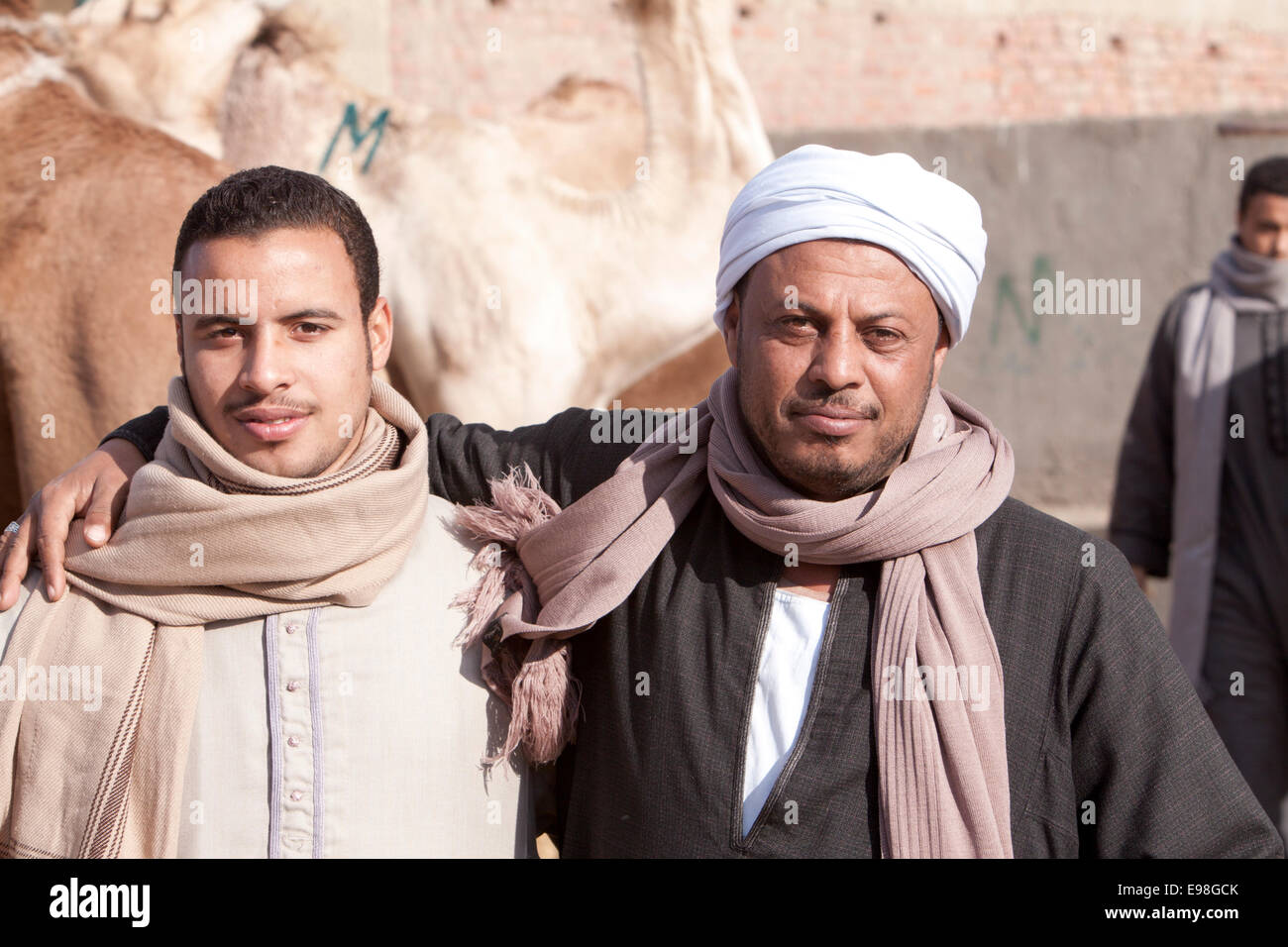 I fornitori di cammello ... Mercato di cammelli a Giza Egitto. Foto Stock