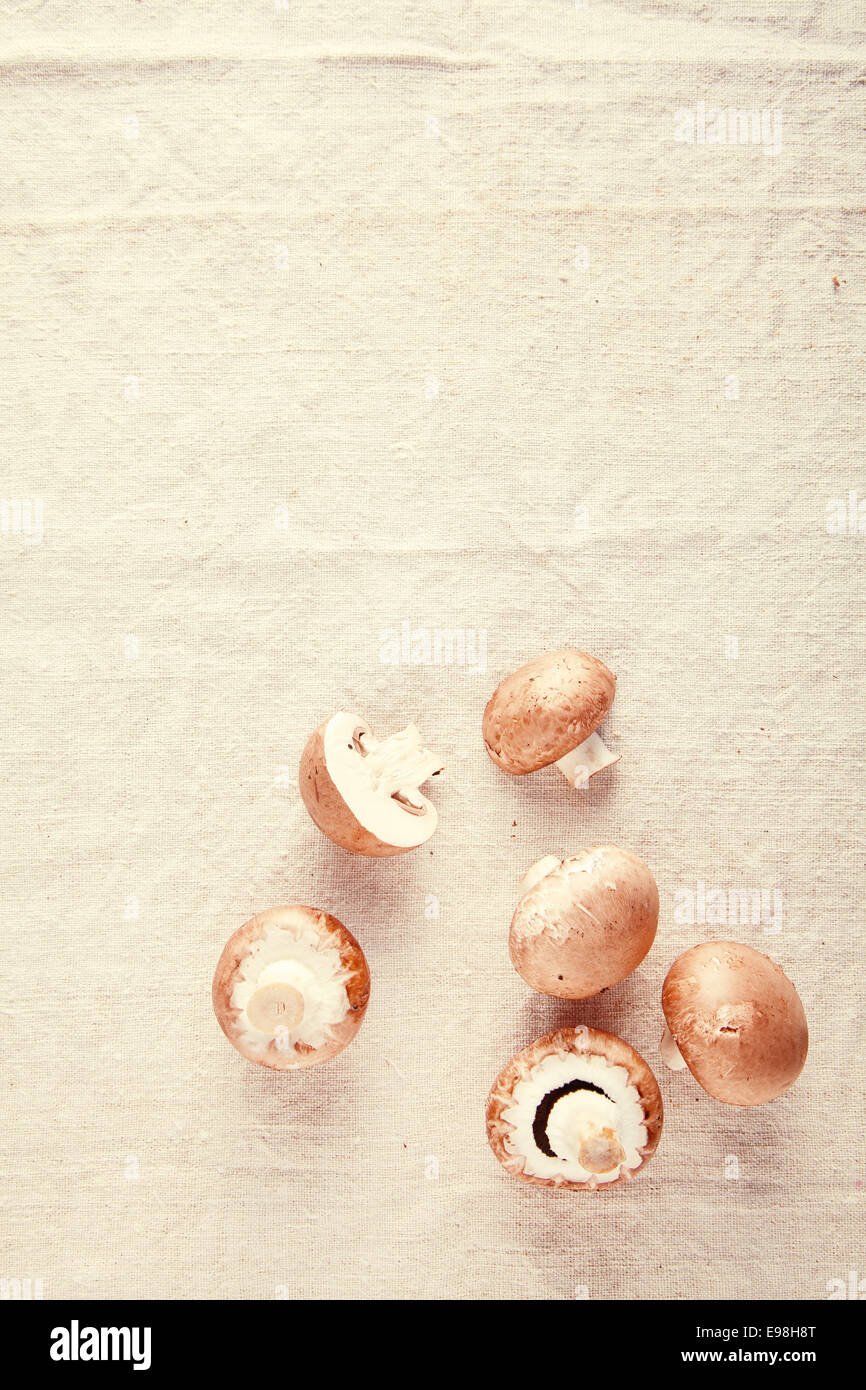 Fresco marrone comune fungo su off tavola bianco sullo sfondo di stoffa Foto Stock